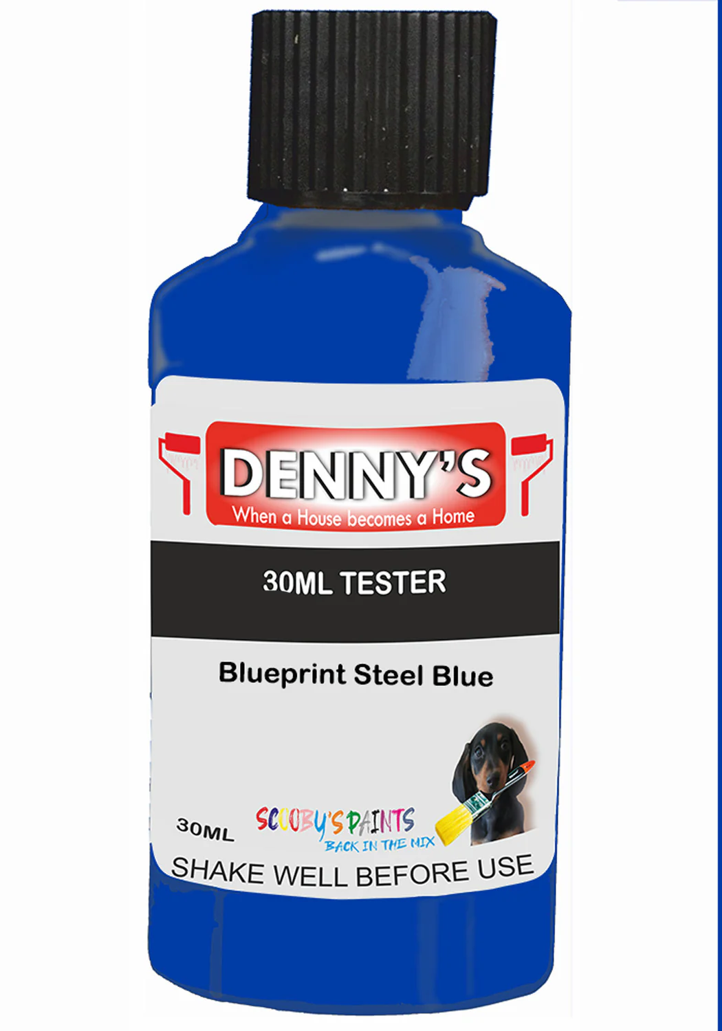 Denny's Plastic Paint